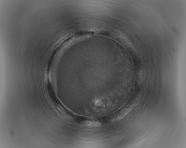 X0000112470644200908241234