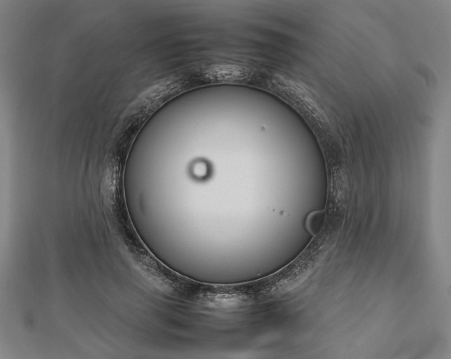 X0000112470645200908241234