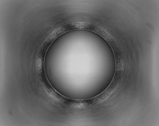 X0000112470646200908241234