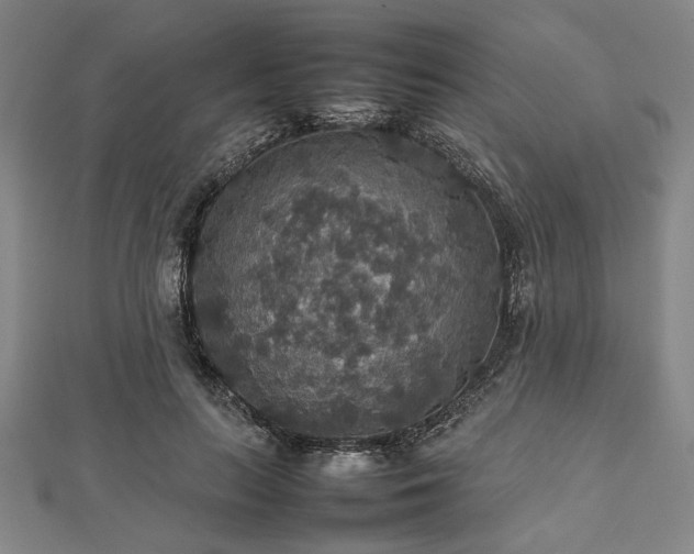 X0000112470647200908241234