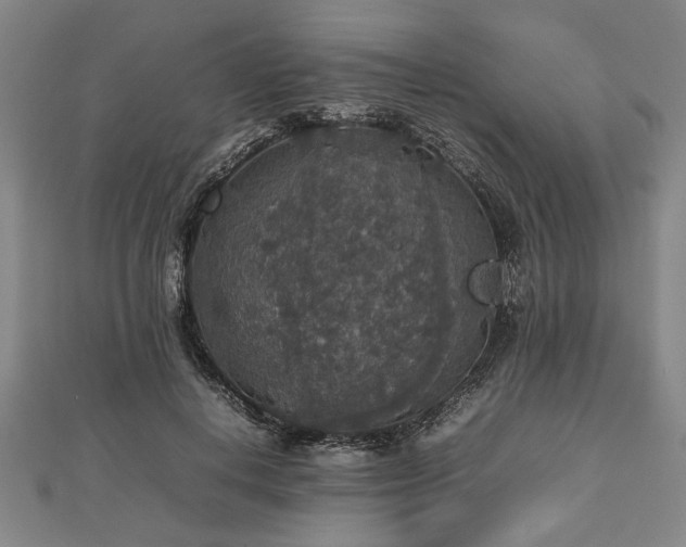 X0000112470648200908241234