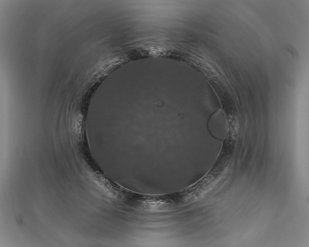 X0000112470650200908241234