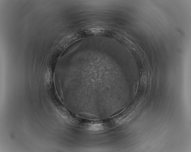 X0000112470651200908241234