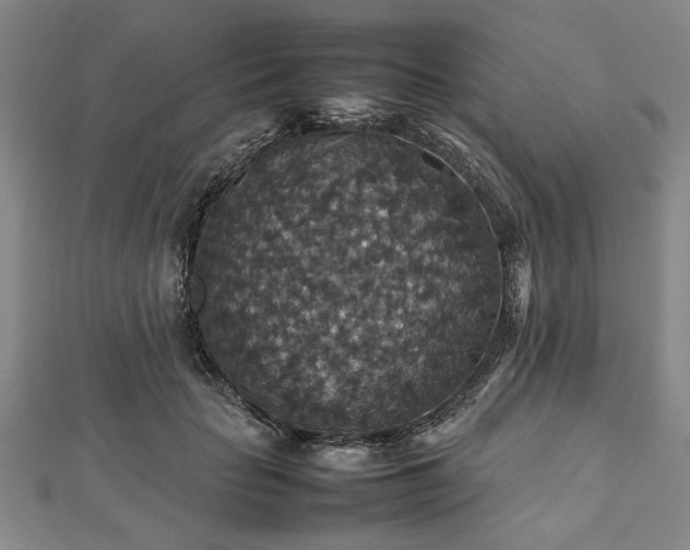 X0000112470653200908241234