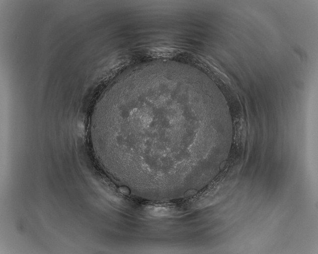 X0000112470655200908241234