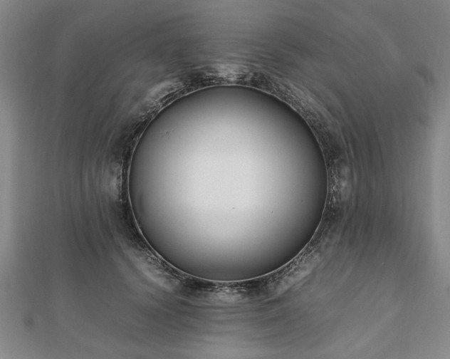 X0000112470656200908241234