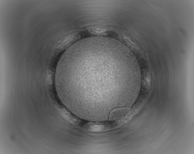 X0000112470658200908241234