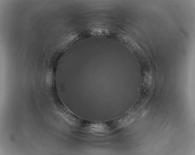 X0000112470659200908241234