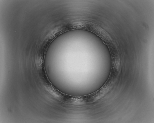 X0000112470660200908241234