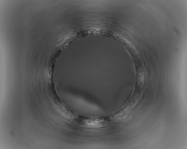 X0000112470661200908241234