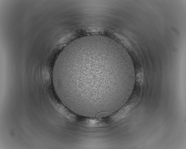 X0000112470662200908241234