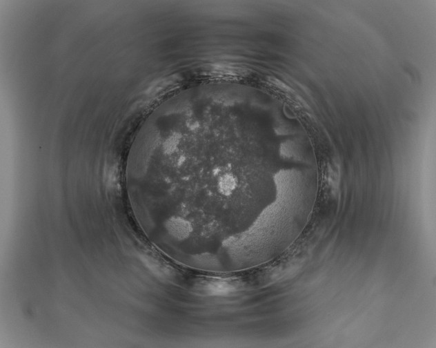 X0000112470663200908241234