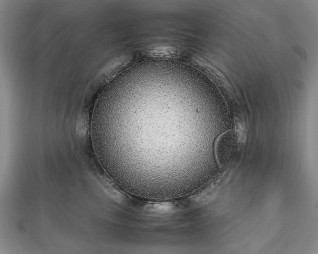 X0000112470665200908241234