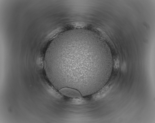 X0000112470666200908241234