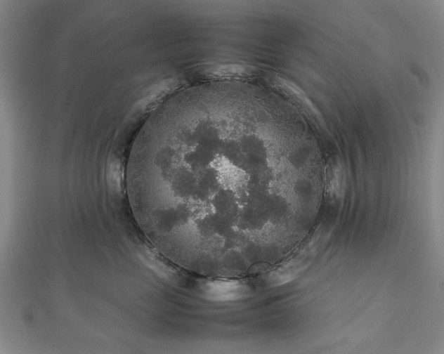 X0000112470669200908241234