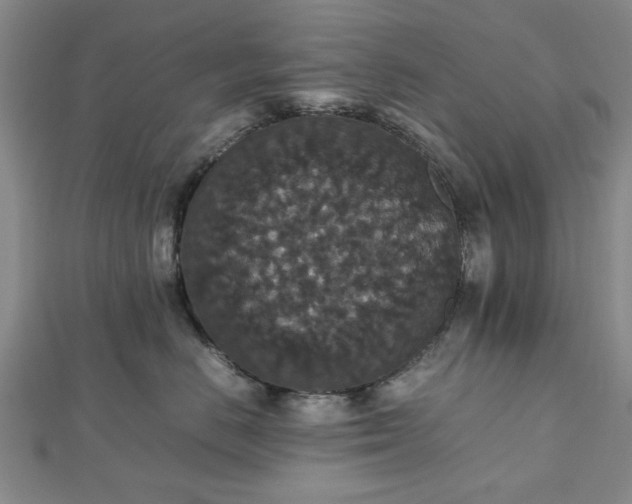 X0000112470670200908241234