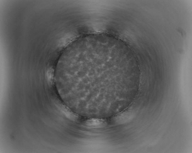 X0000112470672200908241234