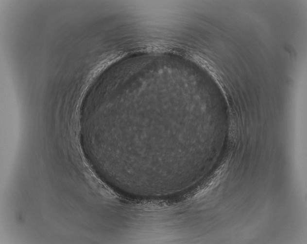 X0000112470673200908241233