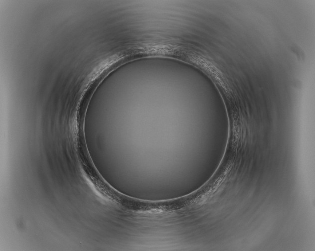 X0000112470674200908241233