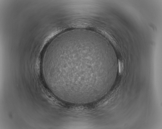 X0000112470675200908241233