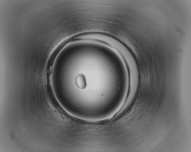 X0000112470676200908241233