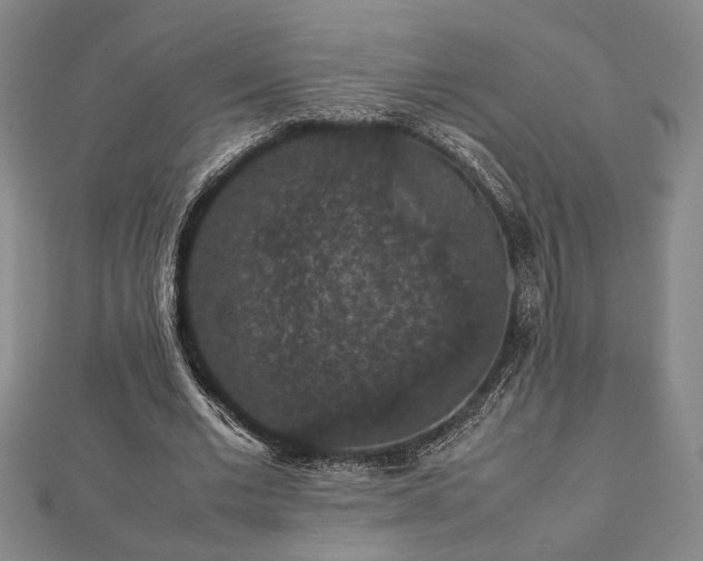 X0000112470677200908241233