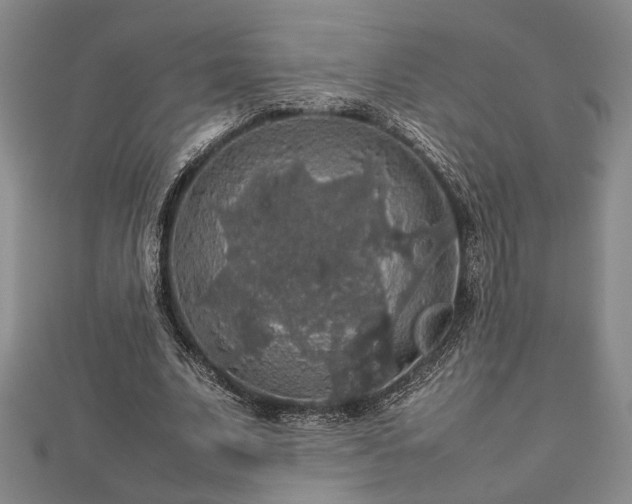 X0000112470679200908241233