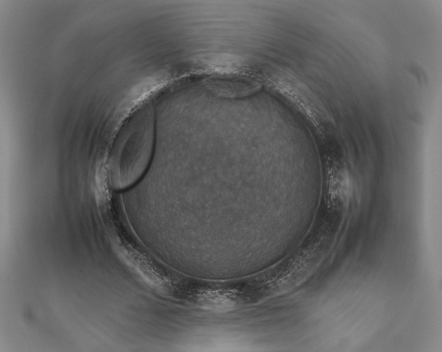 X0000112470680200908241233