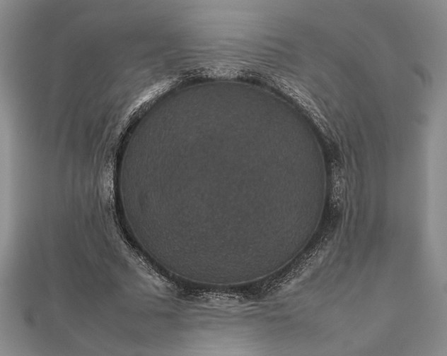 X0000112470681200908241233