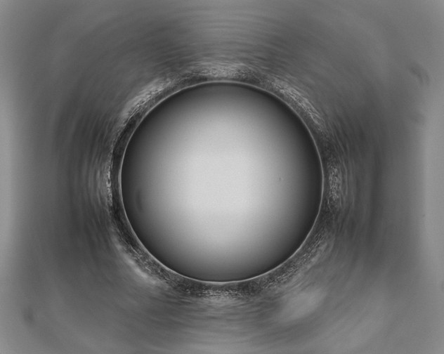 X0000112470682200908241233