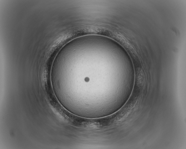 X0000112470683200908241233