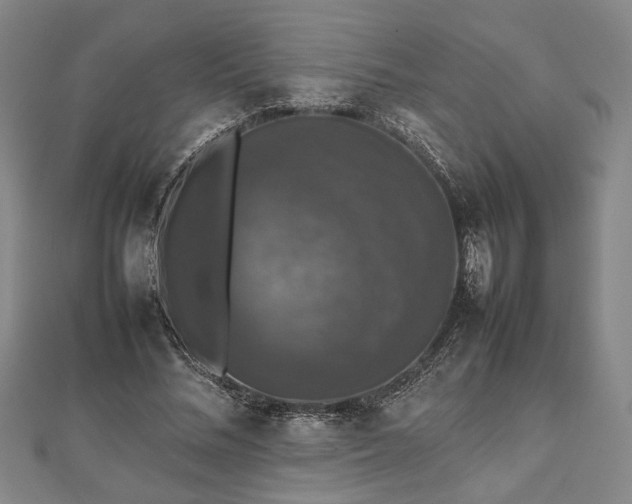 X0000112470684200908241233