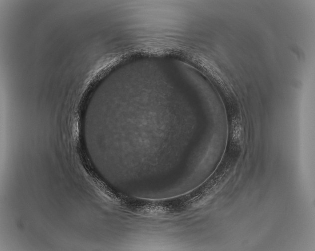 X0000112470685200908241233