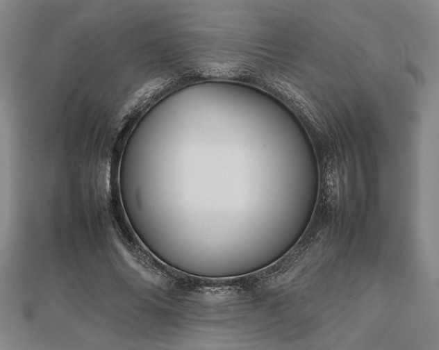 X0000112470686200908241233