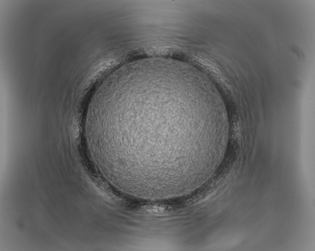 X0000112470687200908241233