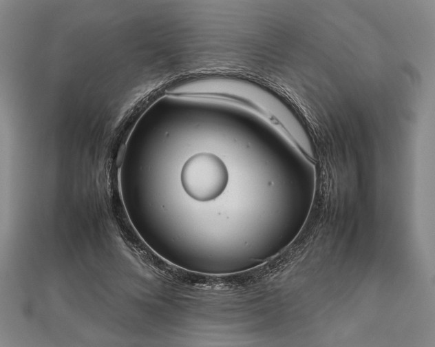 X0000112470688200908241233