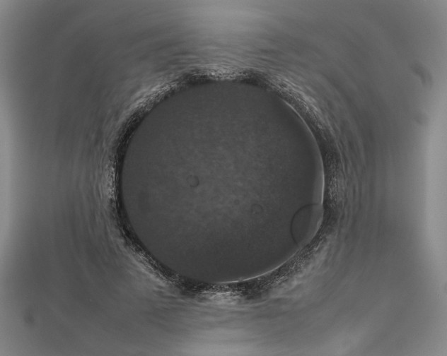 X0000112470689200908241233