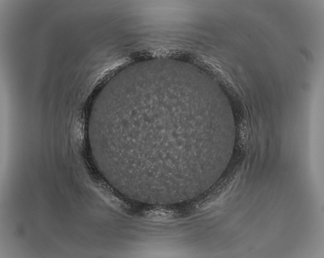 X0000112470691200908241233