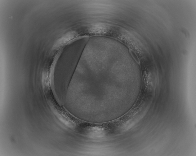 X0000112470692200908241233