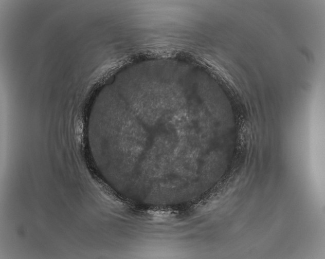 X0000112470693200908241233