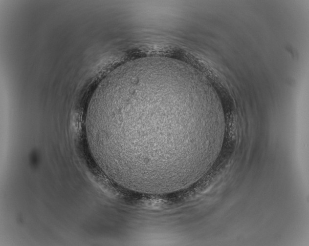 X0000112470695200908241233