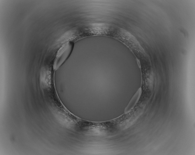 X0000112470696200908241233