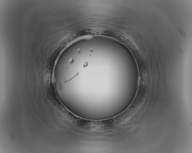 X0000112470697200908241233