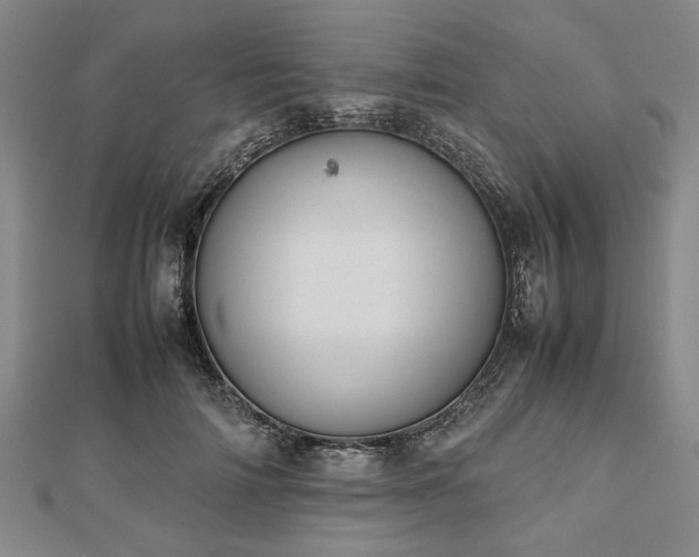 X0000112470698200908241233