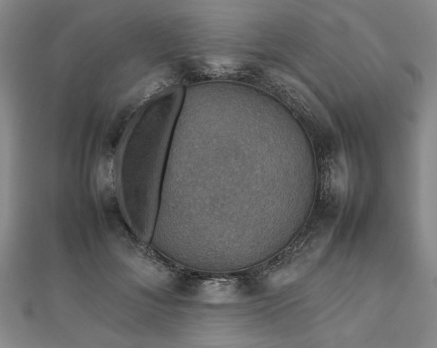 X0000112470700200908241233