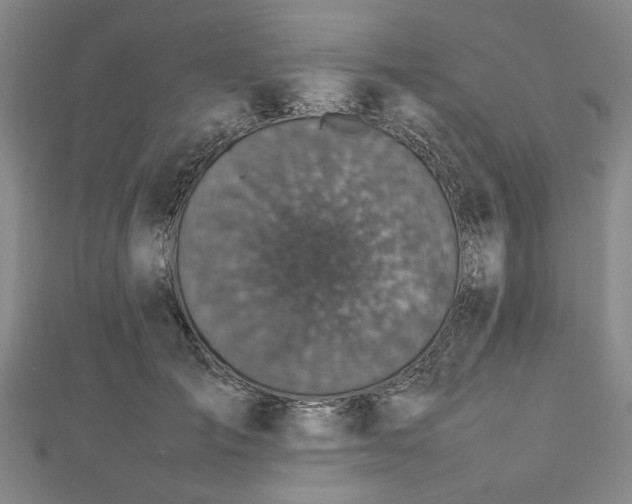 X0000112470701200908241233