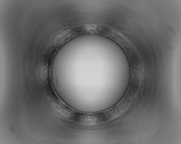 X0000112470702200908241233