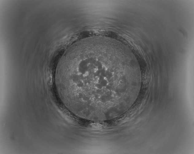 X0000112470703200908241233