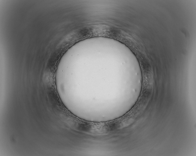 X0000112470705200908241233