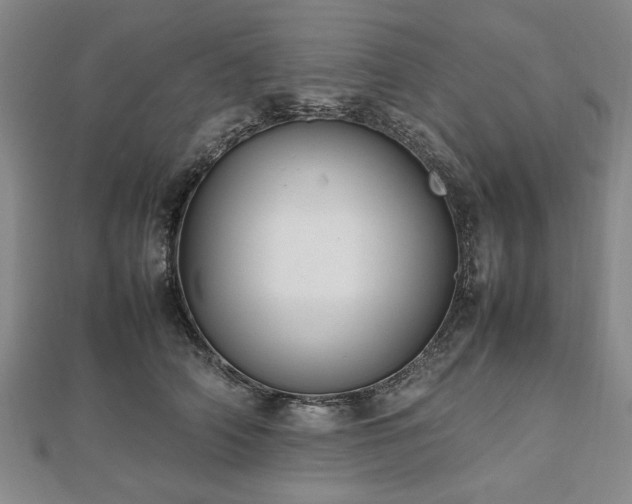 X0000112470706200908241233